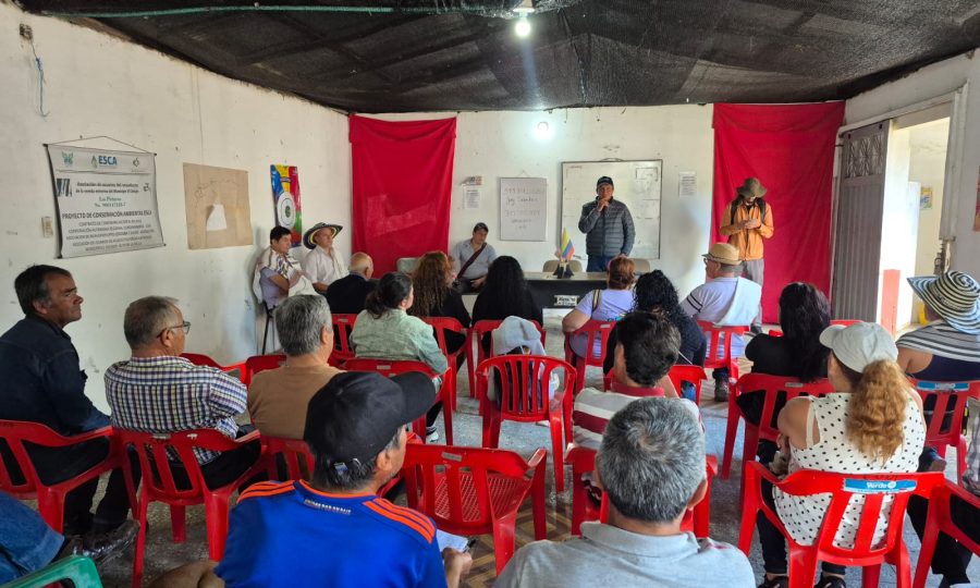 WhatsApp Image 2026-01-13 at 8.59.03 AM